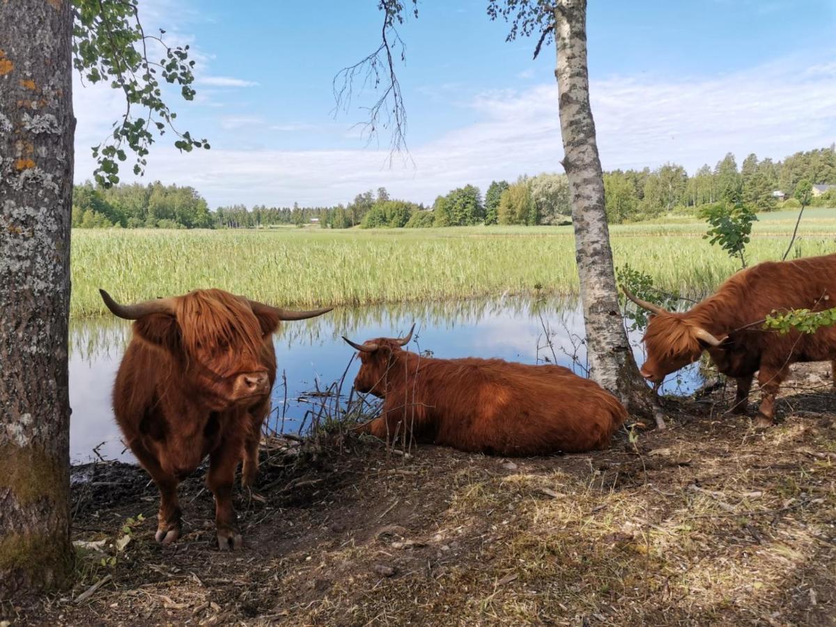 Isotalo Farm At Enaejaervi Lake 萨罗 外观 照片